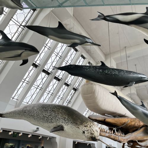 IMG1605