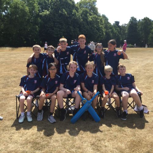 Cricket Festival