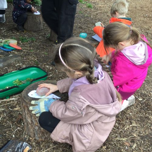 Year 2 Forest School