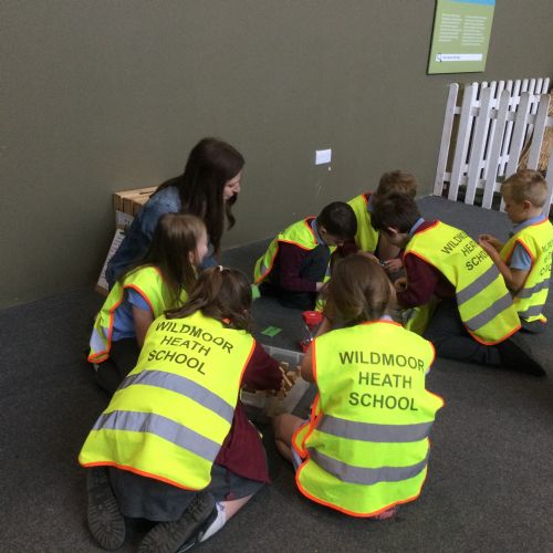Year 2 Trip to Milestones- May 2026
