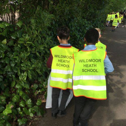 Year 3 David Attenborough Birthday Activities