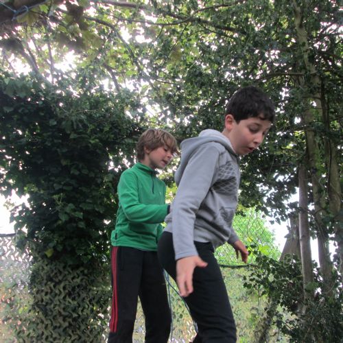 IMG1003