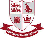 Wildmoor Heath School